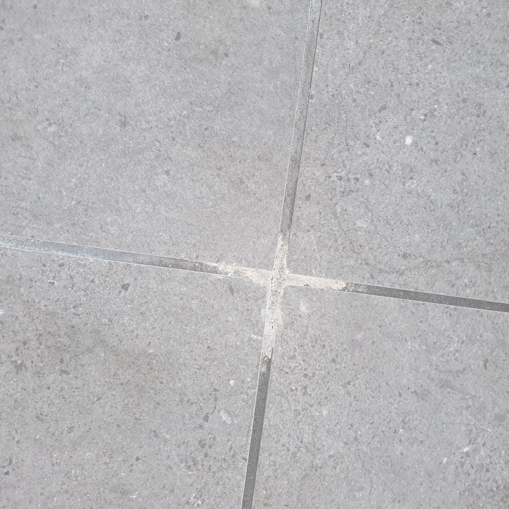 20241006_175849.jpg 20241006_175849.jpg