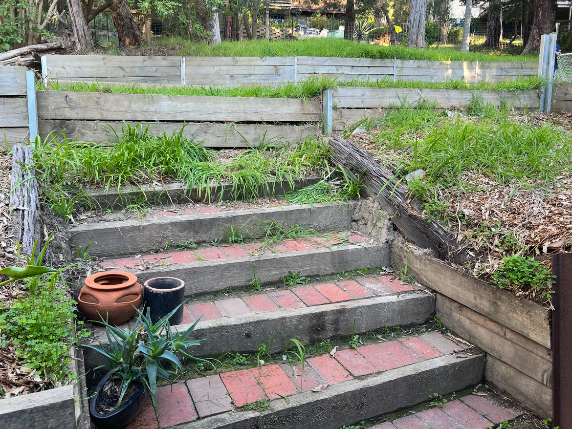 IMG_4241.png IMG_4241.png