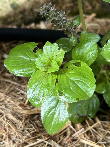 535c8d8b-bbc5-43ee-ad8d-d5315d033140.jpg 535c8d8b-bbc5-43ee-ad8d-d5315d033140.jpg