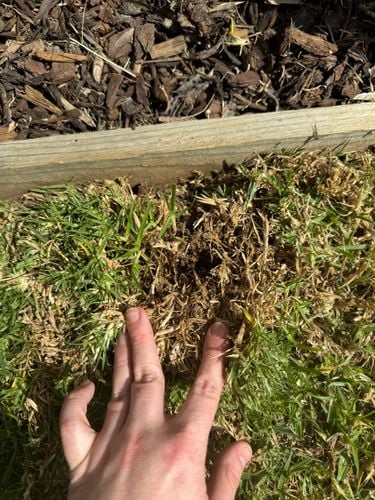 IMG_3046.jpeg IMG_3046.jpeg