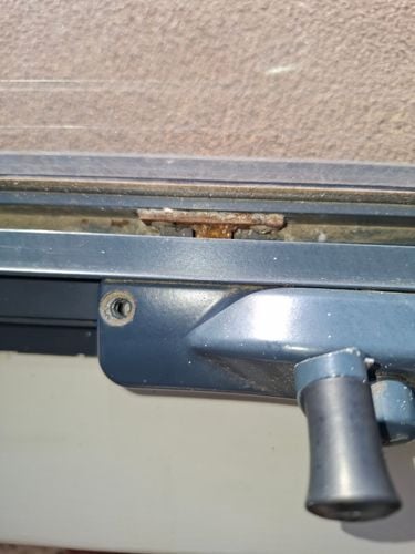 1000043135.jpg 1000043135.jpg