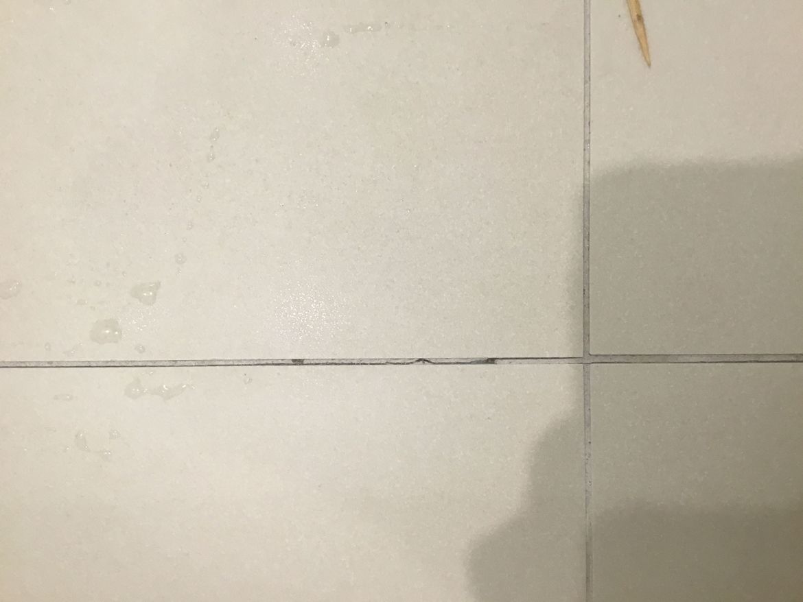 IMG_2091.jpeg IMG_2091.jpeg