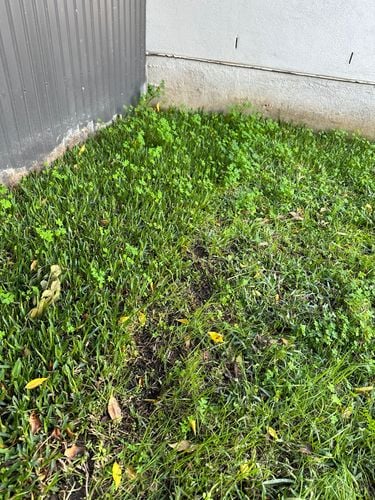 IMG_5045.jpeg IMG_5045.jpeg