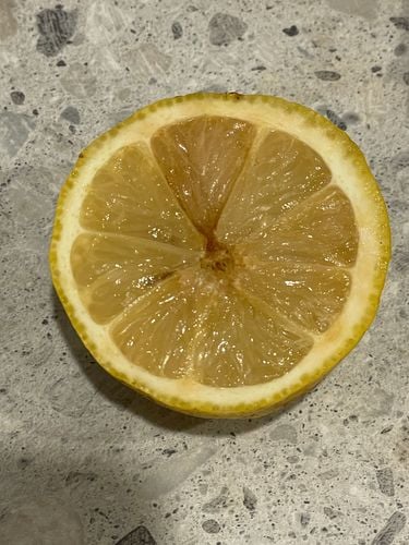 IMG_5088.jpeg IMG_5088.jpeg