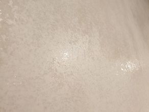 191655503_763131534349505_8031650307568587439_n.jpg 191655503_763131534349505_8031650307568587439_n.jpg