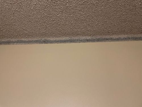 IMG_0161.jpeg IMG_0161.jpeg