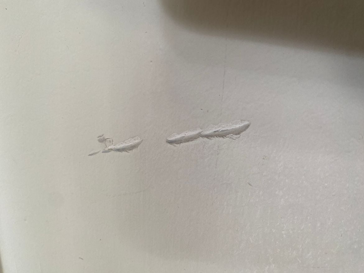 IMG_1235.JPG IMG_1235.JPG