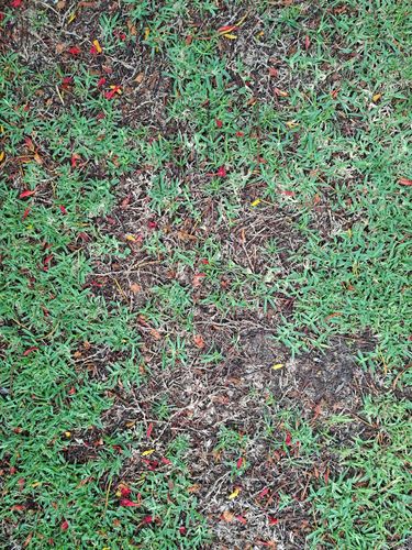 1000018462.jpg 1000018462.jpg