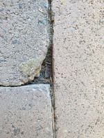 photo_2023-12-20_10-29-24.jpg photo_2023-12-20_10-29-24.jpg