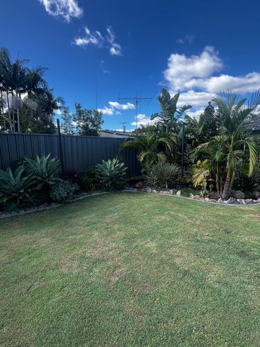 IMG_8680.jpeg IMG_8680.jpeg