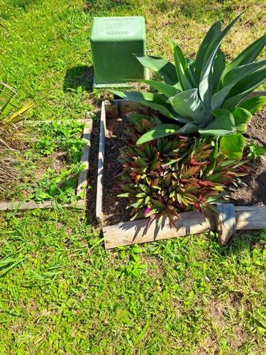 1000014038.jpg 1000014038.jpg