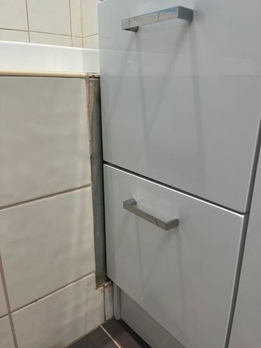 IMG_7900.jpeg IMG_7900.jpeg