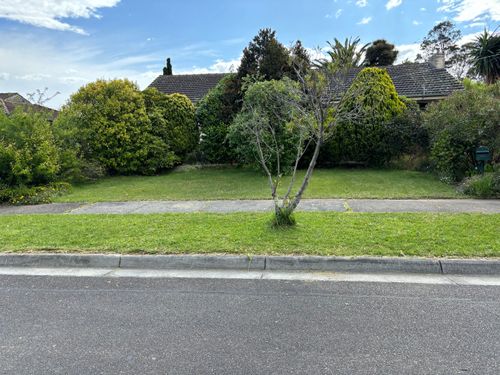 IMG_0526.jpeg IMG_0526.jpeg