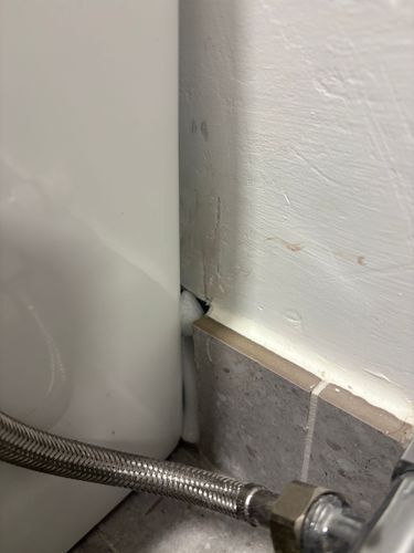 IMG_0294.jpeg IMG_0294.jpeg