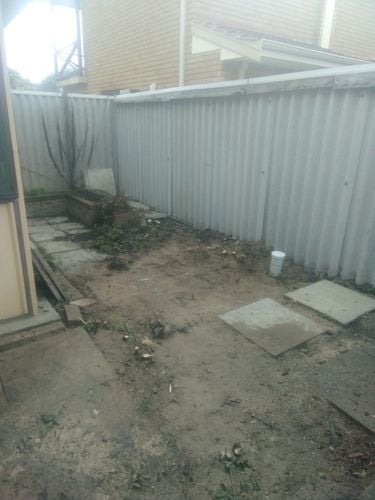 IMG_20220908_091918.jpg IMG_20220908_091918.jpg