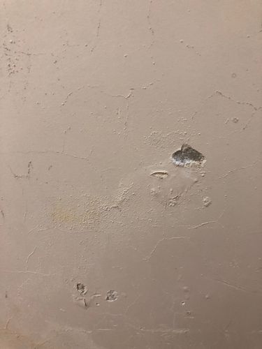 IMG_3705.jpeg IMG_3705.jpeg