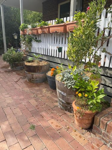 24E4C7A6-728D-40D9-ADD8-C3F83FC7A20F.jpeg 24E4C7A6-728D-40D9-ADD8-C3F83FC7A20F.jpeg