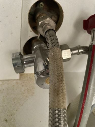 IMG_1414.jpeg IMG_1414.jpeg