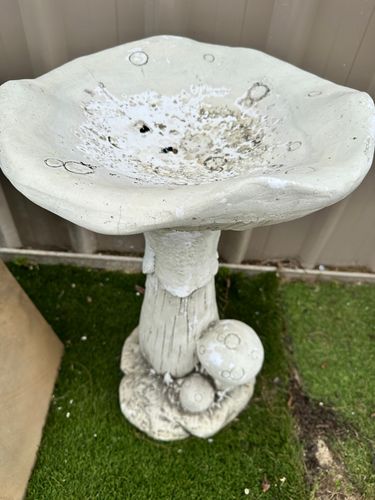 IMG_2100.jpeg IMG_2100.jpeg