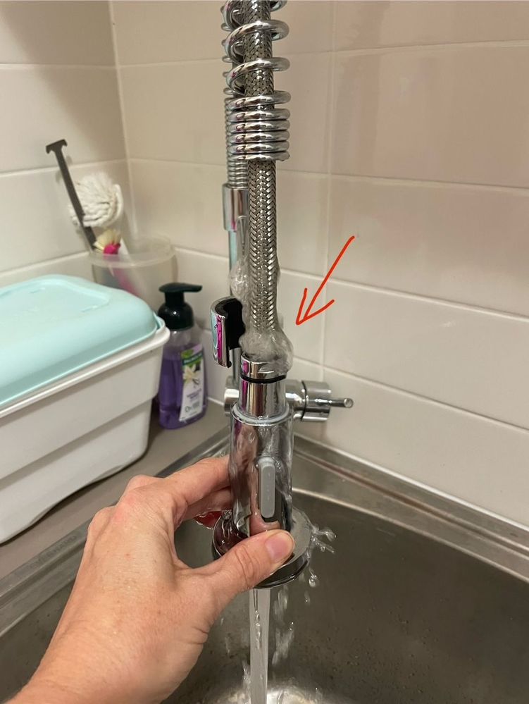 IMG_6346.jpg IMG_6346.jpg