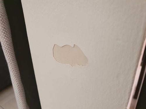 20211017_075343.jpg 20211017_075343.jpg