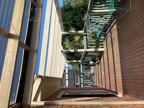 CE76C219-95C5-4FA7-806C-BAC2D37F29B5.jpeg CE76C219-95C5-4FA7-806C-BAC2D37F29B5.jpeg