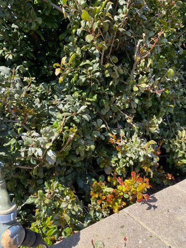 IMG_8820.jpeg IMG_8820.jpeg