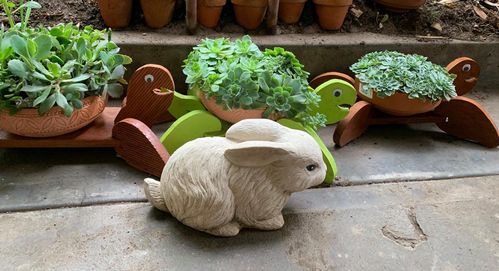 3E3AF02C-3EDD-448D-80AA-DAC85A99A18A.jpeg 3E3AF02C-3EDD-448D-80AA-DAC85A99A18A.jpeg