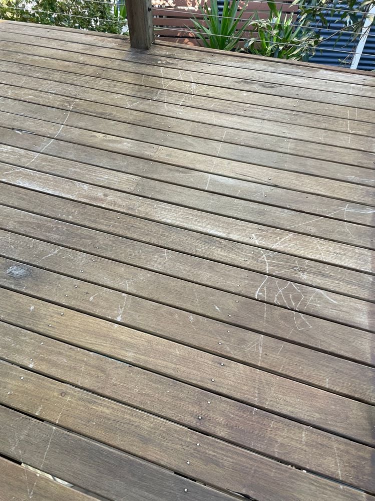 IMG_5415.jpg IMG_5415.jpg