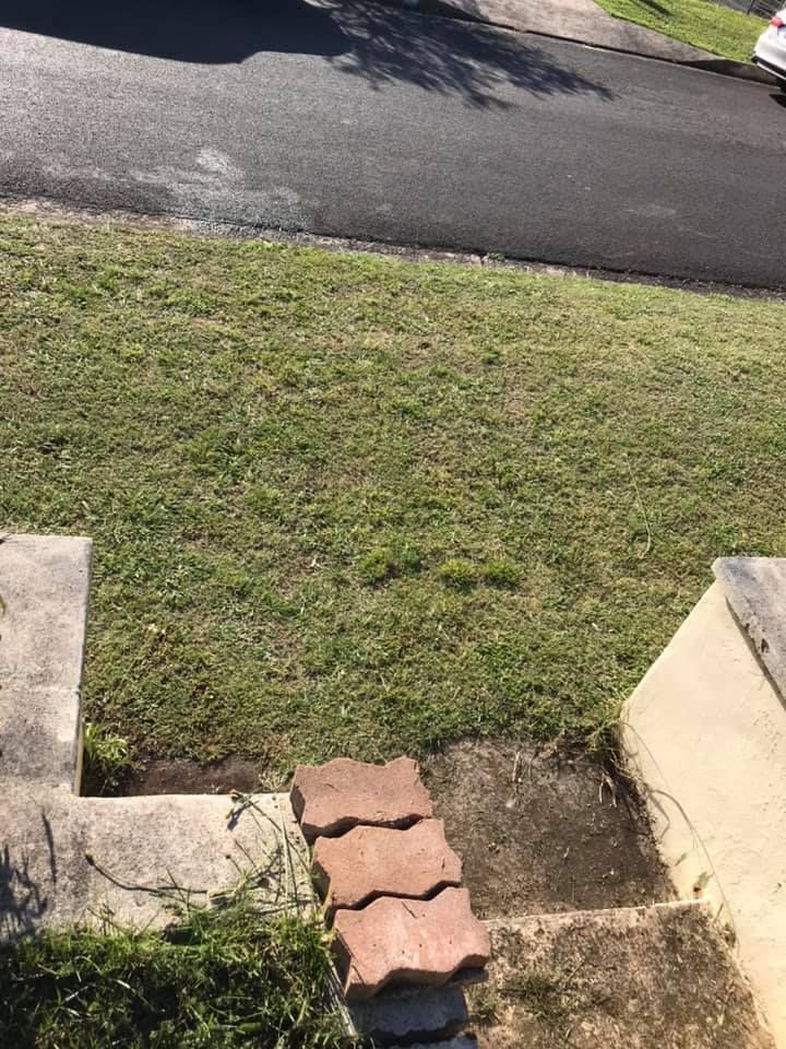 02 03-11-2020.jpg 02 03-11-2020.jpg