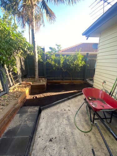 IMG_6043.jpeg IMG_6043.jpeg