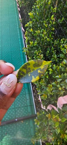 20250303_180234.jpg 20250303_180234.jpg