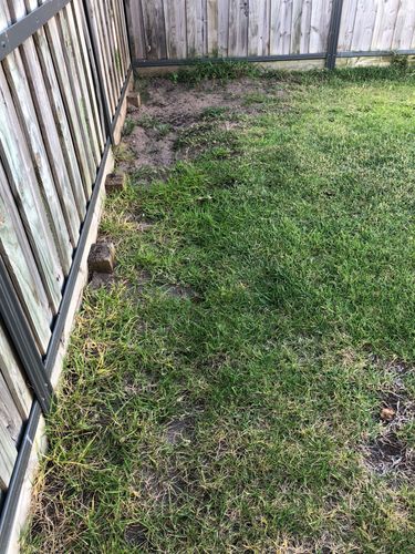 10ECDCCF-4408-42B8-A2F8-5EF517AA00C7.jpeg 10ECDCCF-4408-42B8-A2F8-5EF517AA00C7.jpeg