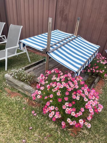 F783CA93-7703-46CC-90AC-623C2FB16FB9.jpeg F783CA93-7703-46CC-90AC-623C2FB16FB9.jpeg