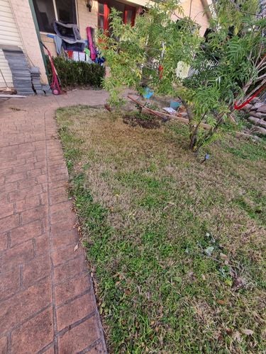 1000055301.jpg 1000055301.jpg