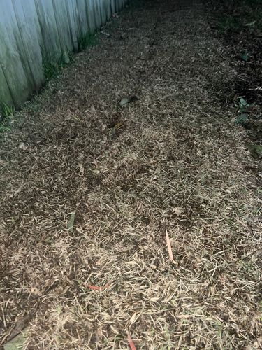 IMG_4952.jpeg IMG_4952.jpeg