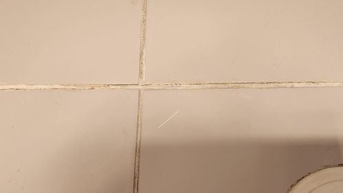 20231203_140028.jpg 20231203_140028.jpg