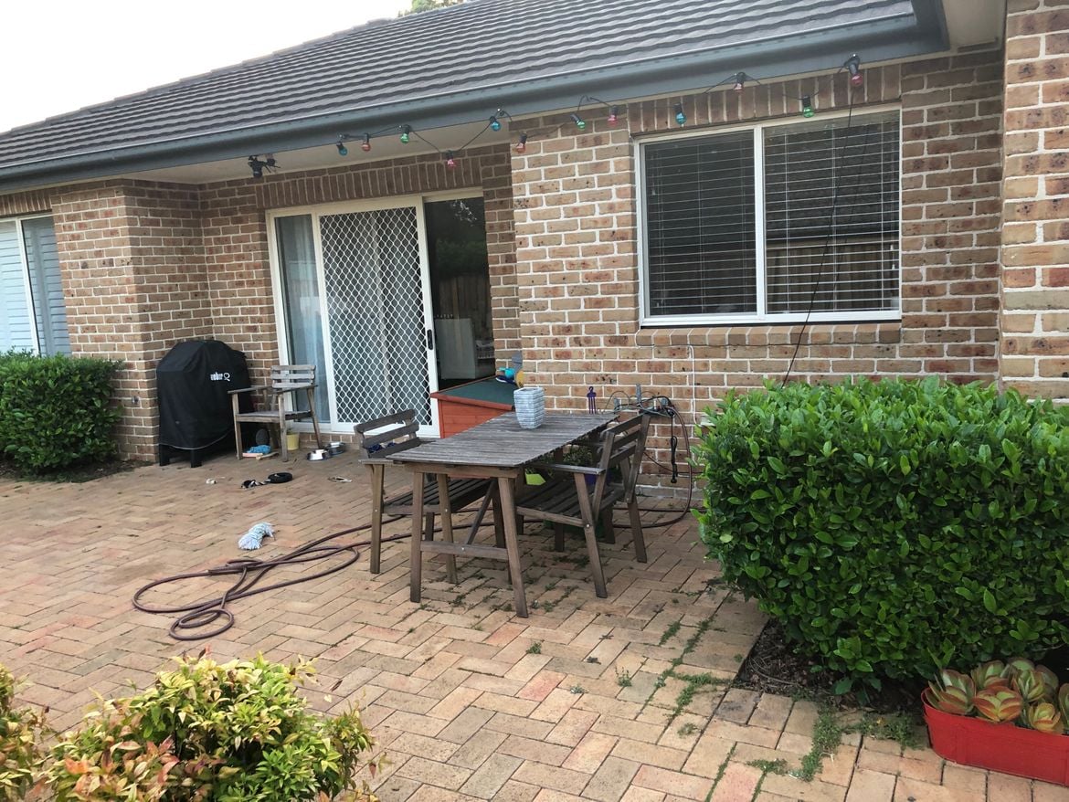 IMG_8878.jpeg IMG_8878.jpeg