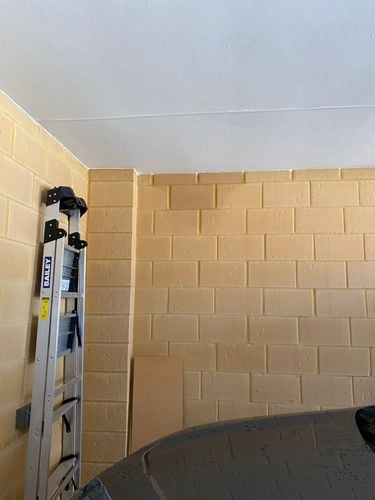 IMG_5109.jpeg IMG_5109.jpeg