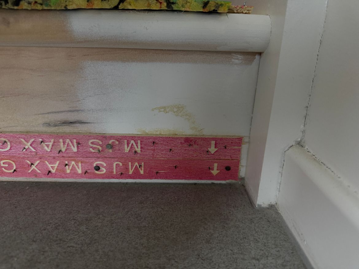 IMG_4497.jpeg IMG_4497.jpeg