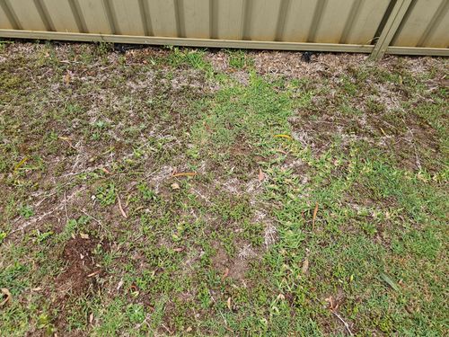 20241204_062819.jpg 20241204_062819.jpg