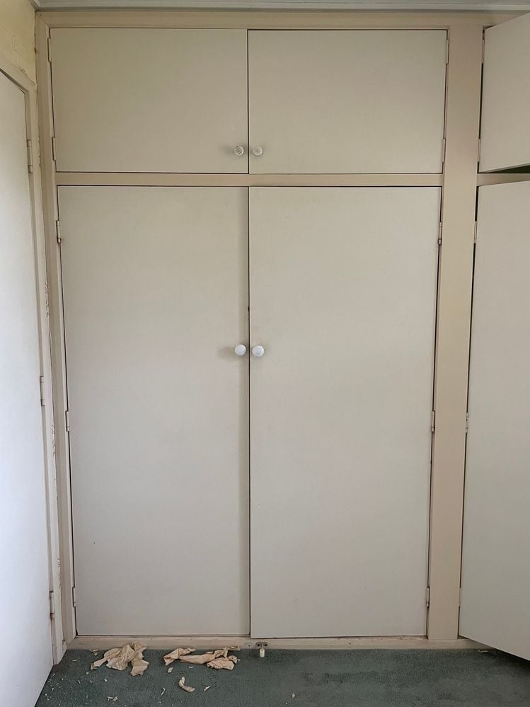 IMG_5742.jpeg IMG_5742.jpeg