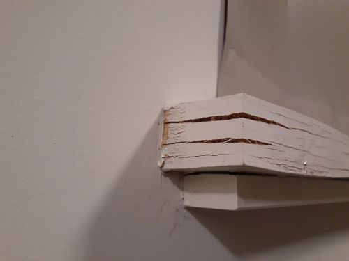 20230925_000709.jpg 20230925_000709.jpg