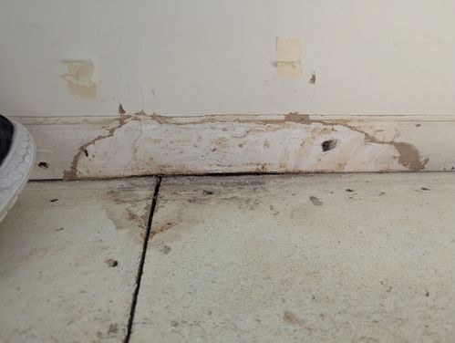 1000103062.jpg 1000103062.jpg