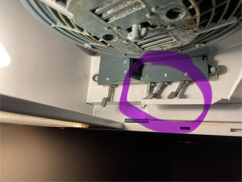 IMG_3657.jpeg IMG_3657.jpeg