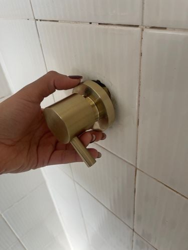 IMG_8141.jpeg IMG_8141.jpeg