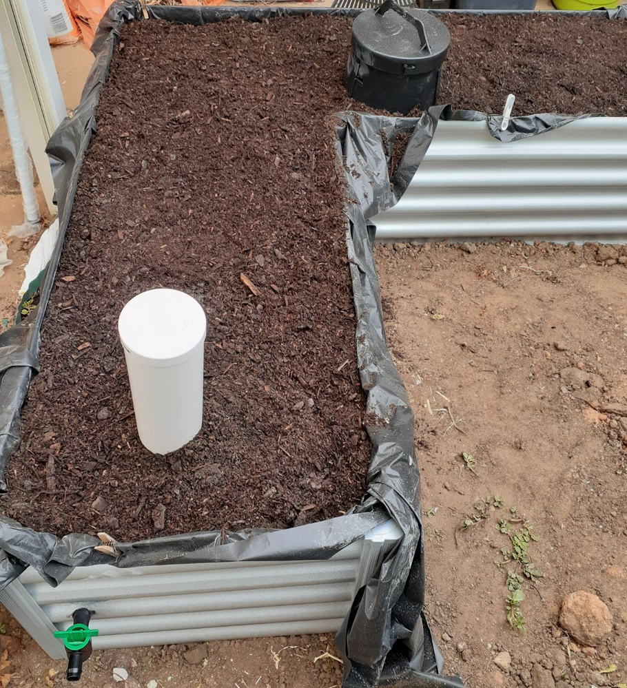 Maursie.png Maursie.png