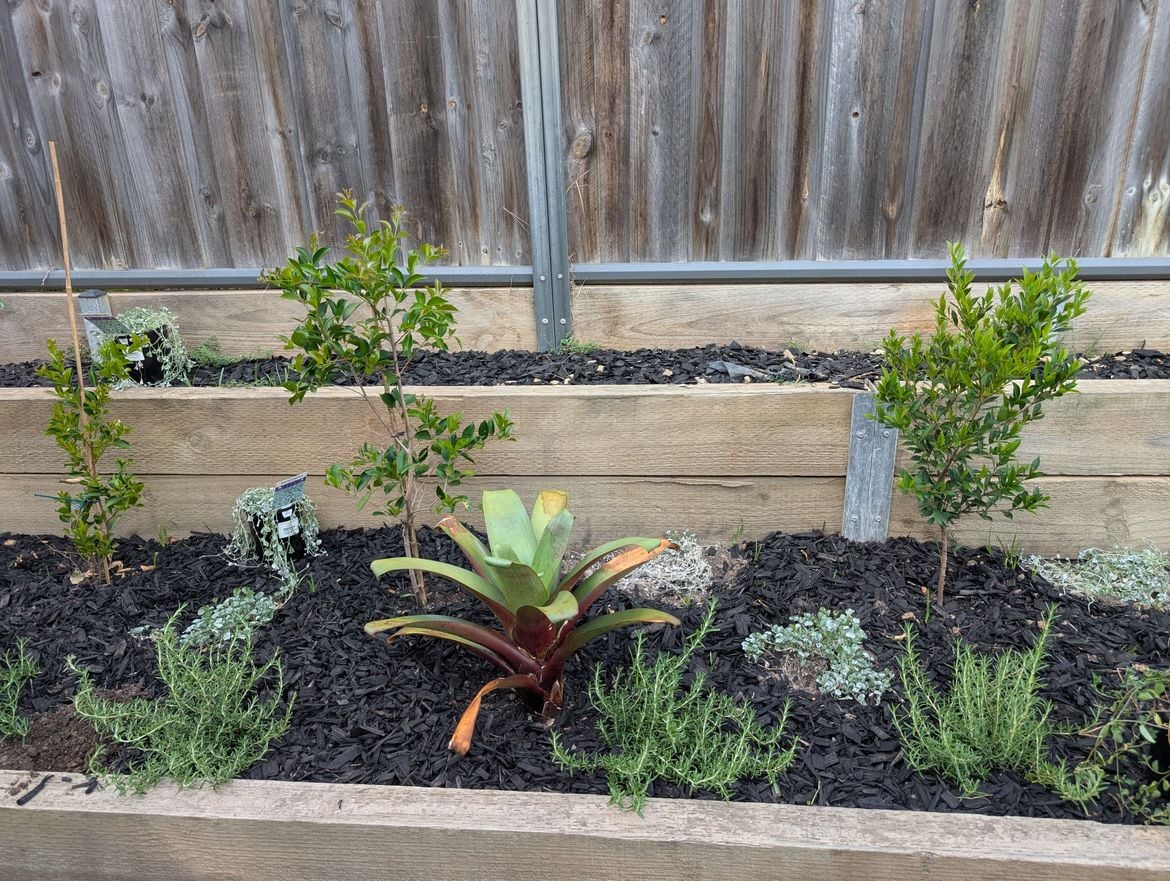 PXL_20241227_222839736.jpg PXL_20241227_222839736.jpg