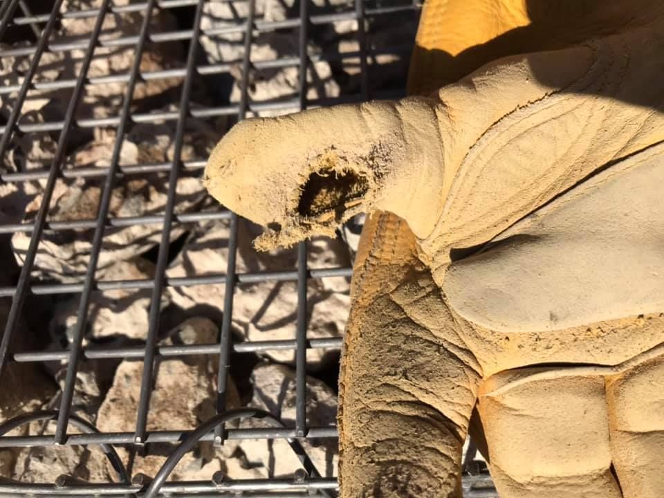 27 14-08-2021.jpg 27 14-08-2021.jpg