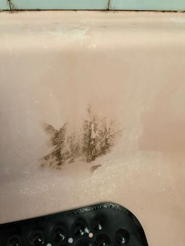 IMG_9403.jpeg IMG_9403.jpeg